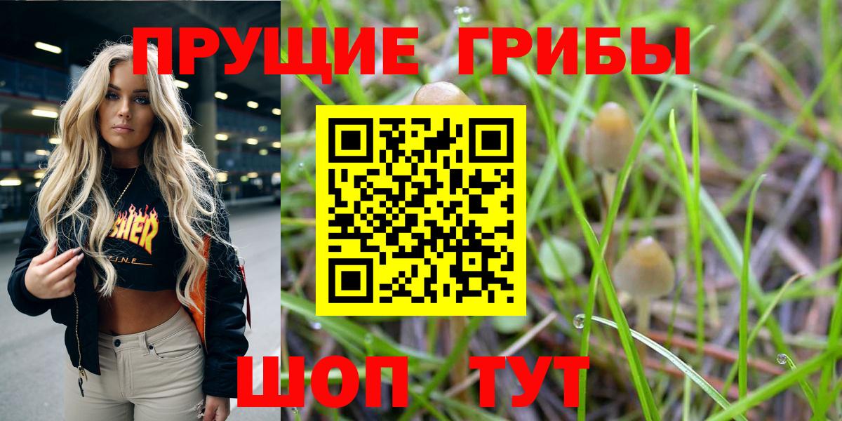 Петрозаводск  Псилоцибиновые грибы GOLDEN TEACHER  Вход с VPN 