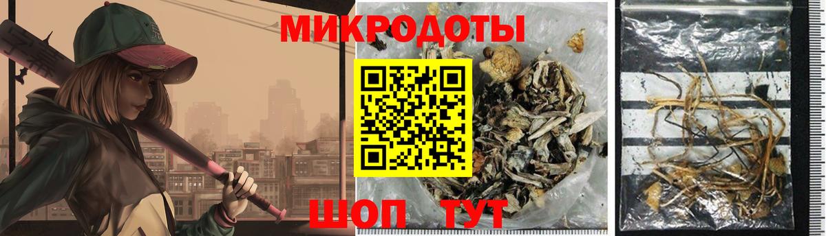 Псилоцибиновые грибы мицелий Петрозаводск